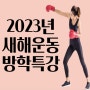 보라동 복싱 킥복싱 새해운동 방학특강 국가대표 감독과 함께해요!