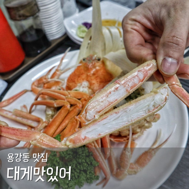 경주 대게 맛집 용강동 대게맛있어 시원한 조개전골 추천해요 : 네이버 블로그