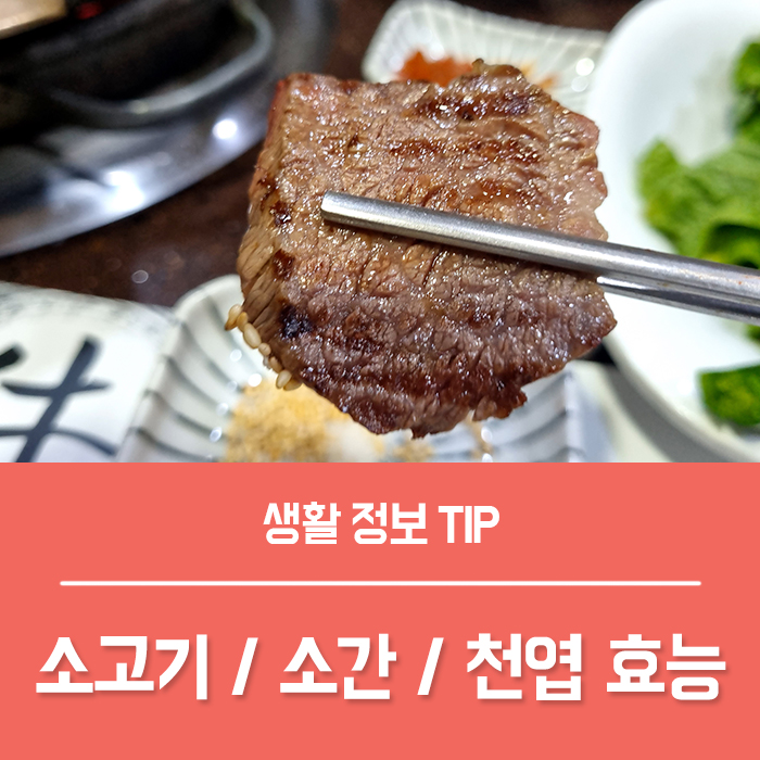 소고기 효능 BEST 4, 소간 천엽 효능 부작용? 고단백질 음식 근육량 늘리기에 굿! : 네이버 블로그