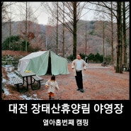 19th 캠핑, 대전 장태산휴양림 야영장 A7번