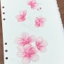 벚꽃 수채화 그리기. 목화 그리는 법. 식물그림 쉽게 그리기