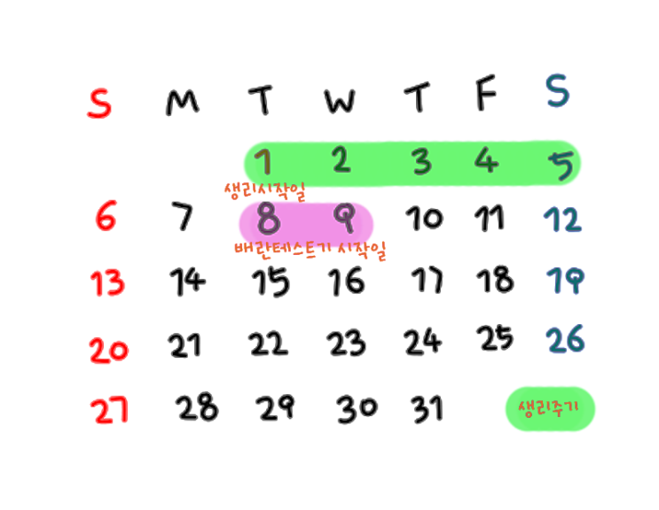 배란일계산기 생리주기 배란테스트기로 아는 배란기 : 네이버 블로그