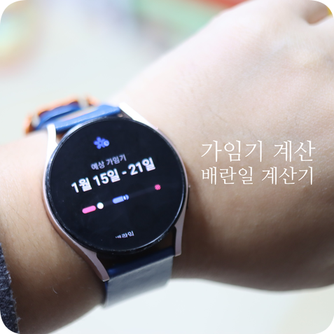 가임기 계산, 배란일 계산기 (배란기 뜻, 임신가능성) w. 배란일 증상 임신확률 : 네이버 블로그