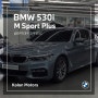 [판매완료] BMW 530i M Sport Plus (46,666km · 무사고)