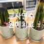 경기도 군포 충남 서산원예치료 고등학교 교사연수 원예치료 프로그램 공기정화식물 스투키