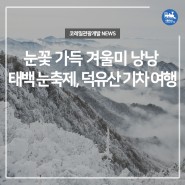 천국같은 눈세상❄ 강원도 태백 / 무주 구천동&덕유산 당일치기 여행