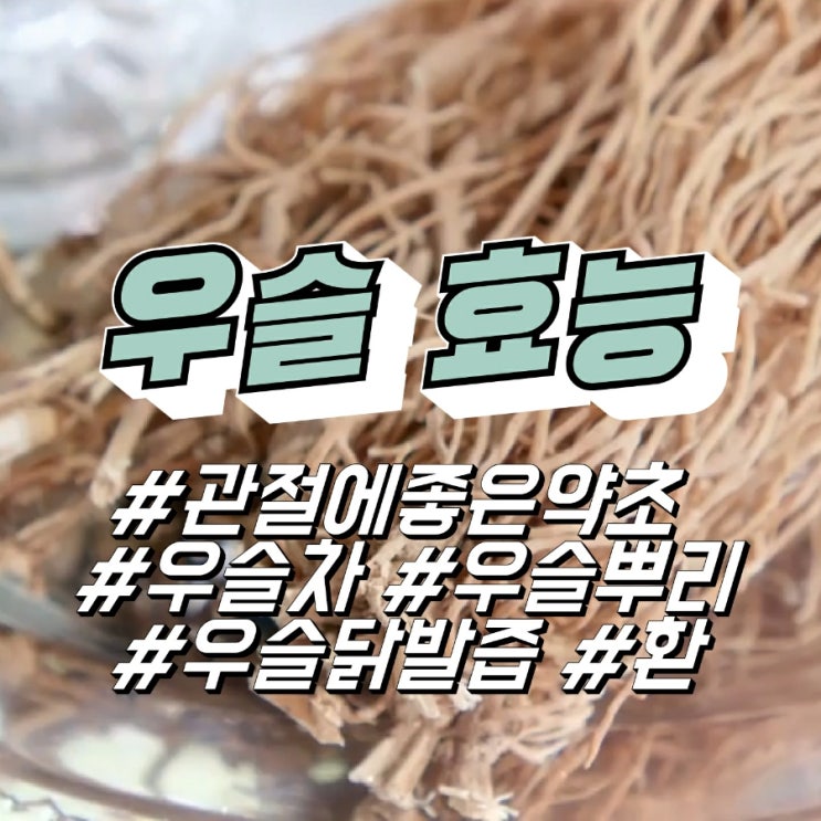 관절에 좋은 약초, 우슬 효능 우슬뿌리 먹는법 및 부작용 (우슬차 우슬닭발즙 환) : 네이버 블로그
