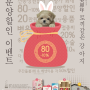 퍼피트랙(주) 베이비몽하남 의 계묘년 맞이 강아지 분양 할인 이벤트 실시!