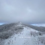 [등산기록] 겨울 덕유산 향적봉 눈꽃산행_백대명산