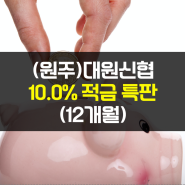 (원주)대원신협 특판적금 : 1년 10.0%(ft.새싹정기적금)