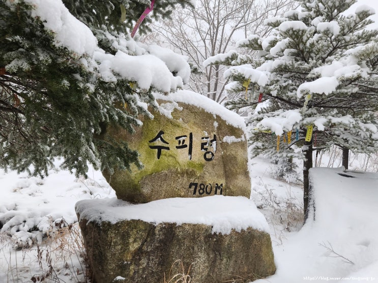 한북정맥 1구간 : 수피령~복주산~하오현 : 네이버 블로그