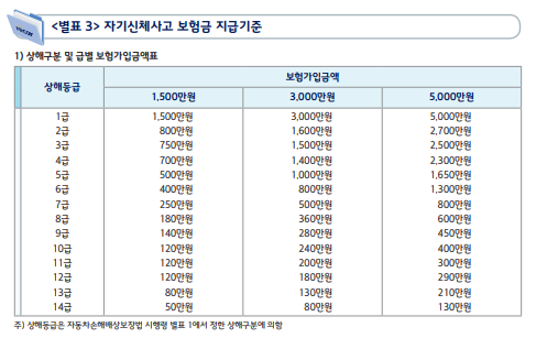 자손 vs 자상 비교 : 네이버 블로그