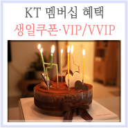 KT 멤버쉽 생일쿠폰, VIP VVIP 멤버십, 더블할인 혜택 대박! 케이크 받았어요