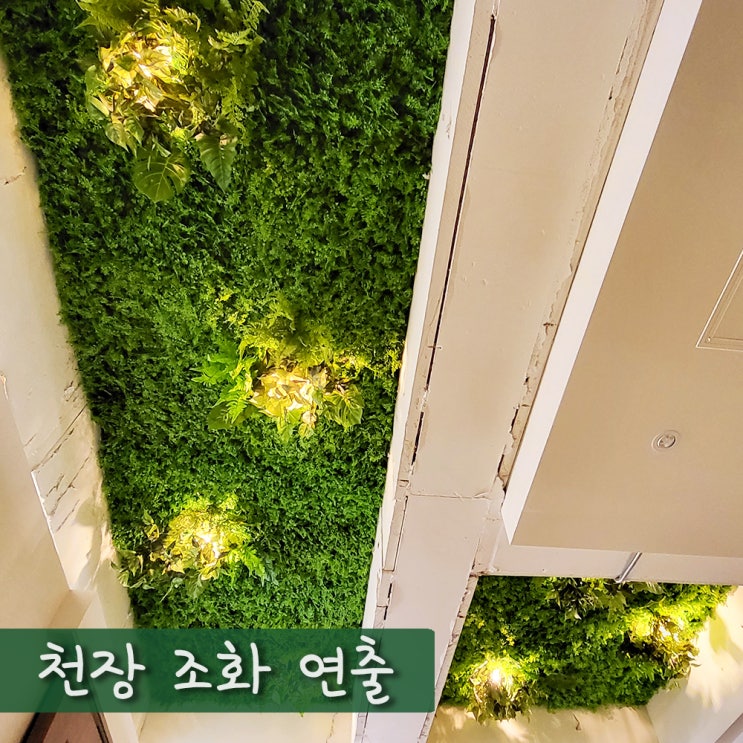 천장을 따라 예쁜 조화 조경 만들기! : 네이버 블로그