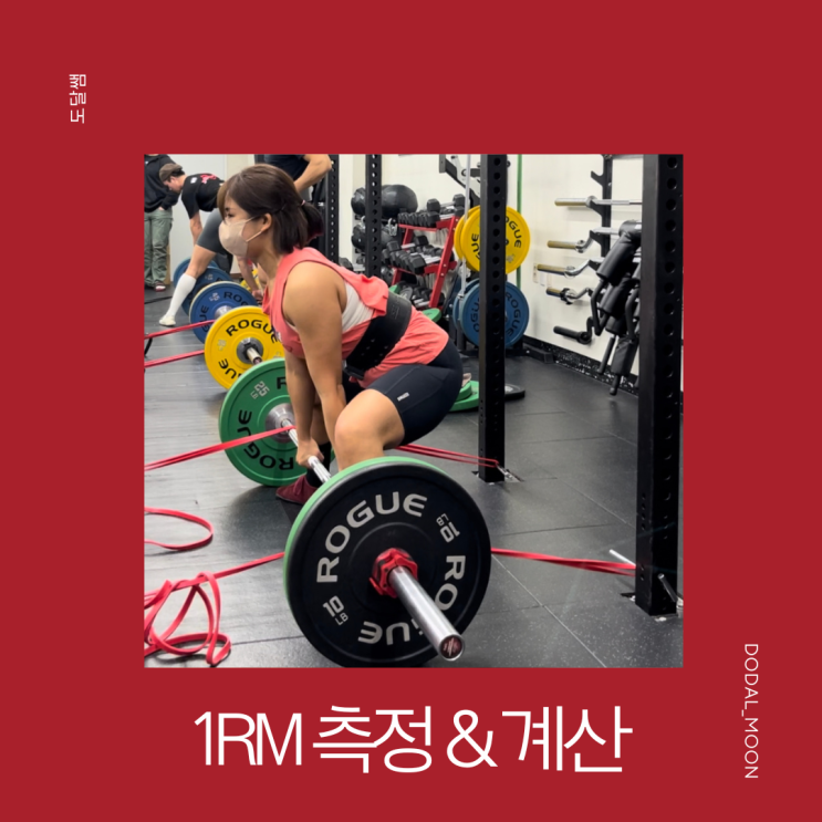 1rm계산기 (1rm뜻/1rm 측정방법/10rm) : 네이버 블로그