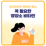 활성비타민 아로나민골드 프리미엄에 함유된 비타민B의 종류