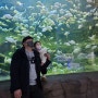 대전 아쿠아리움 + 동물원 아이와함께 갈만한곳❤️