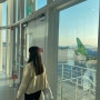 도쿄 여행 Day1 : 마티나라운지, Visit Japan Web 입국심사, 나리타공항 스카이라이너
