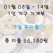 1인 가구 가계부, 생활비 01월 08일~14일, 5일 무지출, 식비 1천원!!