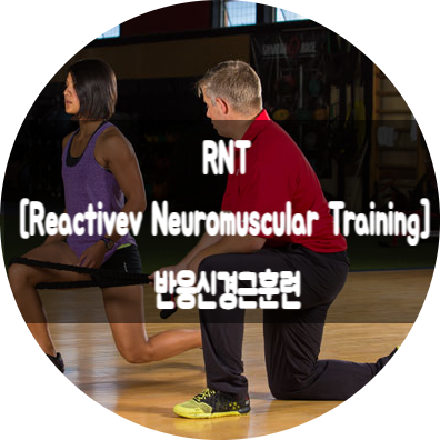 RNT[Reactivev Neuromuscular Training]반응신경근훈련 : 네이버 블로그