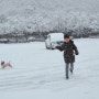 [2023.1.13-15]홍천비발디파크 비맞으며 스키타기,약이되는 밥상(누룽지백숙)