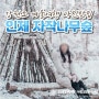 인제 자작나무숲 강원도 눈여행 (입산 시간, 포토존 정리)