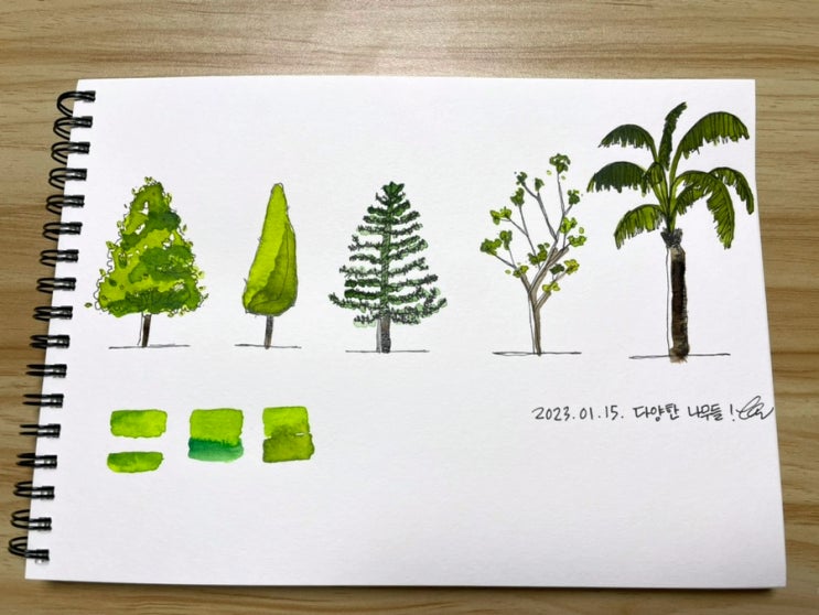 나의 그림 일기 (with. 핀든아트 수강 후기)_230112~230115 : 네…
