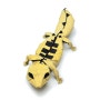 Leopard Gecko(레오파드게코)