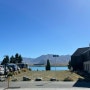 [뉴질랜드 워홀]D+152 Christchurch & Lake Tekapo 크라이스트처치&테카포호수 3박 4일 뚜벅이 여행- 3일차(1) 테카포에서 크라이스트처치로