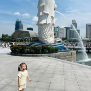 싱가포르 여행♩ 머라이언공원 딘타이펑 아이랑 가기 좋은 곳