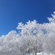 소백산 등산코스 눈꽃산행 (희방사~연화봉) 주차장 소요시간