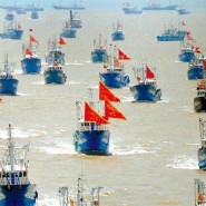 서해는 지금도 전쟁중 - 중국 어선 불법조업