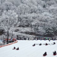 양주 눈꽃축제 서울근교 눈썰매장 주말 방문 후기