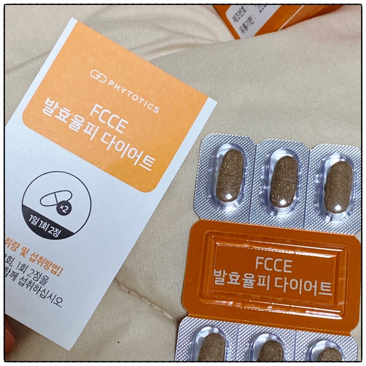 [내돈내산] 