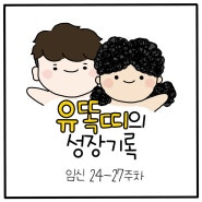 [임신 24-27주차] 똑띠와 보내는 겨울 그리고 입체초음파 실패 (˘･_･˘)