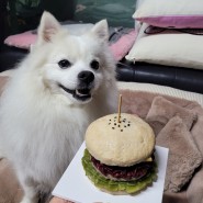 댕저트 강아지 햄버거 특별한 날을 기념하는 특별한 수제간식