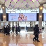 김포공항 광고 - 국내선 광고 종류 및 특징 살펴보기(장점, 단가, 문의)