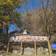 [경기도 양평] 용문산 자연휴양림 숲속의집 하늘마루3
