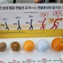 광주광역시 비뇨기과 전문 진월동 유동훈 의원 남자 고민 개선