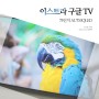 가성비 중소기업 스마트 TV 추천, QLED 퀀텀닷 75인치 이스트라 차세대 안드로이드 TV 티비 추천 후기