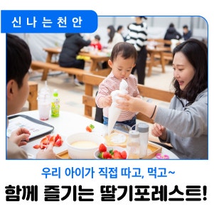 천안 겨울체험 추천, 딸기포레스트에서 상큼하고 달콤한...