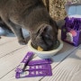 고양이유산균 다이어트, 살빼냥 간편한 고양이 체중조절 영양제
