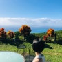 [하와이 14박 신혼부부 여행] 하와이 준비물 체크 리스트, 2주동안 이거면 충분