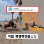 해외에서 난리난 매직 푸쉬업 챌린지 재도전!(feat.팔굽혀펴기 종류, 효과, 자세)