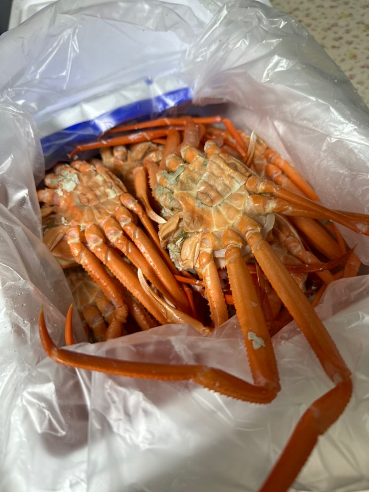 [포항 연지 홍게] 맛도 좋고 가성비도 좋은 신선한 홍게 : 네이버 블로그