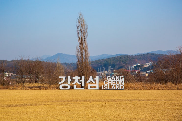 여주 여행 처음 가본 고사목 군락지 여주 강천섬 유원지 : 네이버 블로그