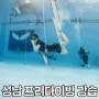 성남 프리다이빙 강습 스포츠센터 고고다이브 입문기 (가는법/가격/영업시간)