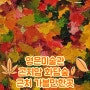 영은미술관 (feat. 최애 작가님을 만나다) 가을 곤지암 화담숲 근처 갈만한곳