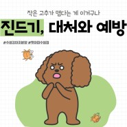 안산강아지분양 펫아미 "강아지, 진드기 물렸을 때 증상과 예방법!"