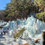 달리온카페. 의정부 빙벽이 멋진 대형카페 (구 바위소리) + 썰매가능 : )